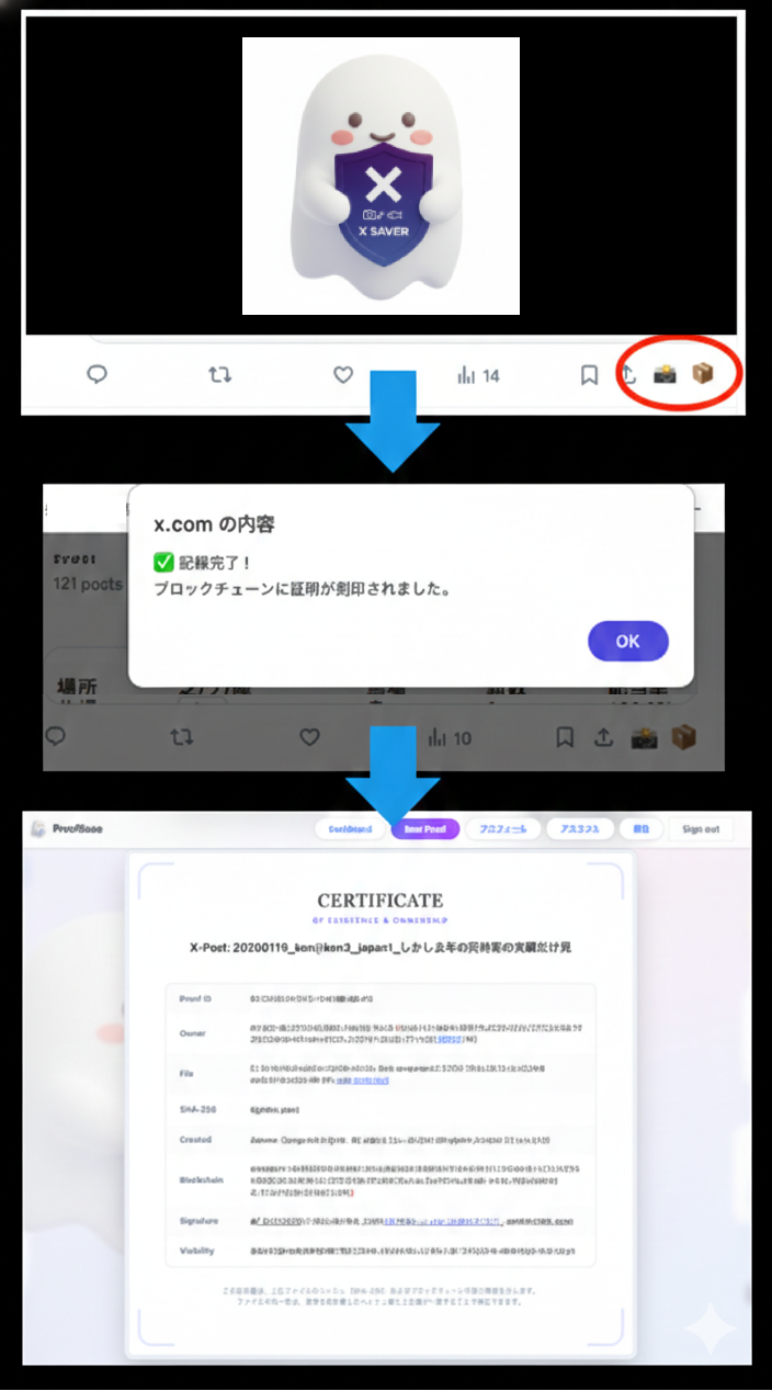X Evidence Saver Flow